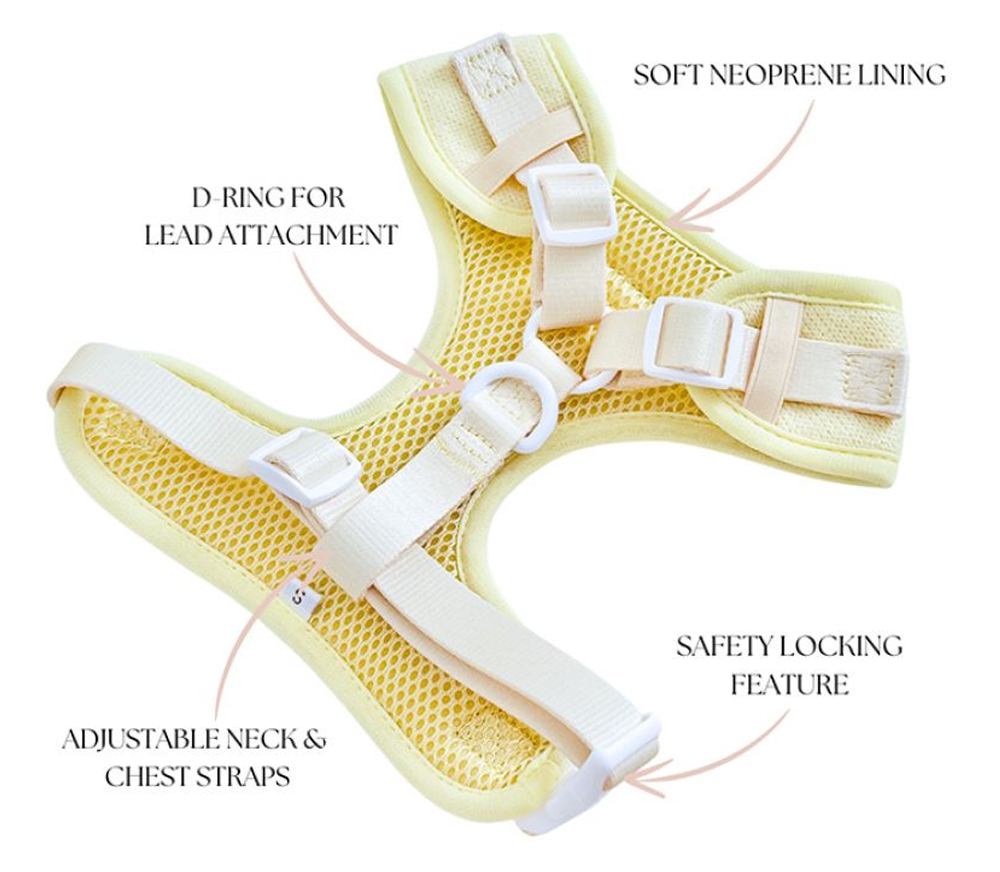 Custom Daisy Knitted Dog Harness 6-Piece Walking Set (4).jpg